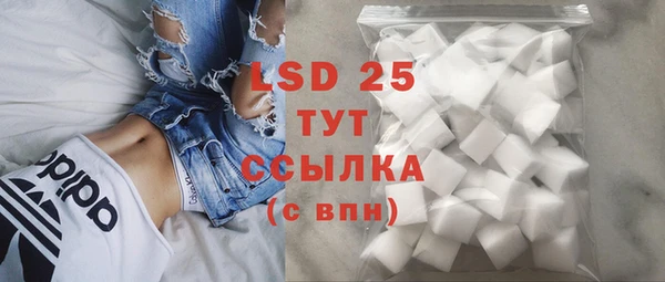 spice Алзамай