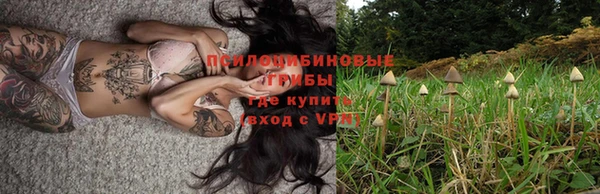 соль курить ск Алексеевка