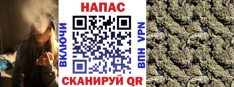 Канабис Amnesia  купить наркоту  Медынь 